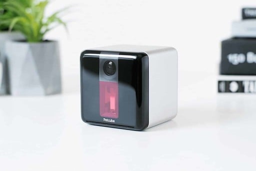 Keep an Eye on Your Pet with the 1080P PetCube Camera, Cheaper than Ever